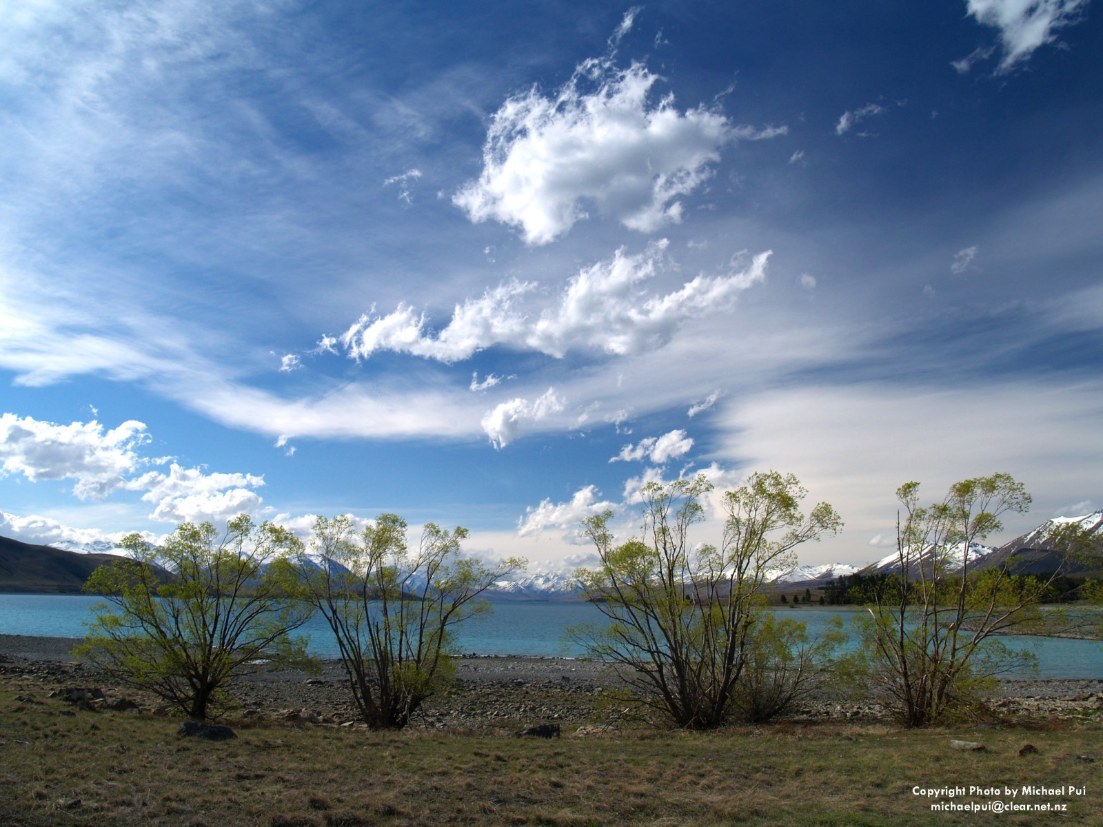 AA230133 B+20 C+15 copy Mackenzie Country Image